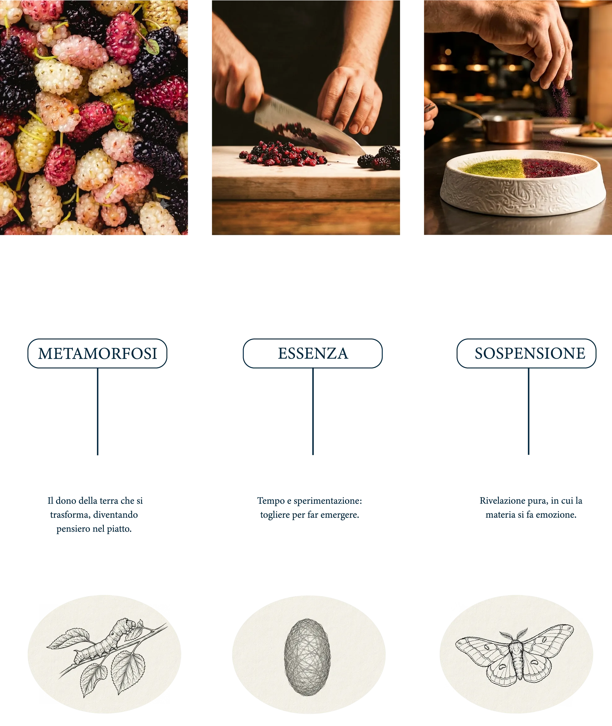 Metamorfosi, Essenza, Sospensione — i tre movimenti della cucina